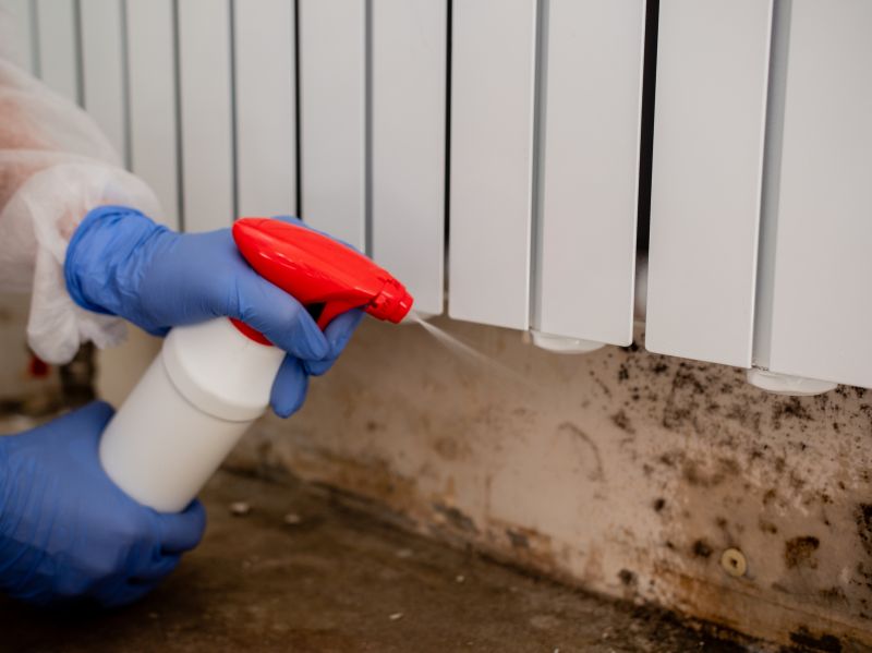 Attic Mold Remediation in West Palm Beach, FL