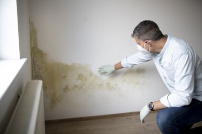 Attic Mold Remediation in Broward County, FL