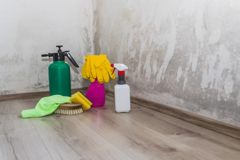 Attic Mold Removal in Fort Worth, TX
