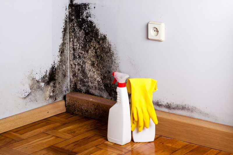 Basement Mold Remediation in Frisco, TX