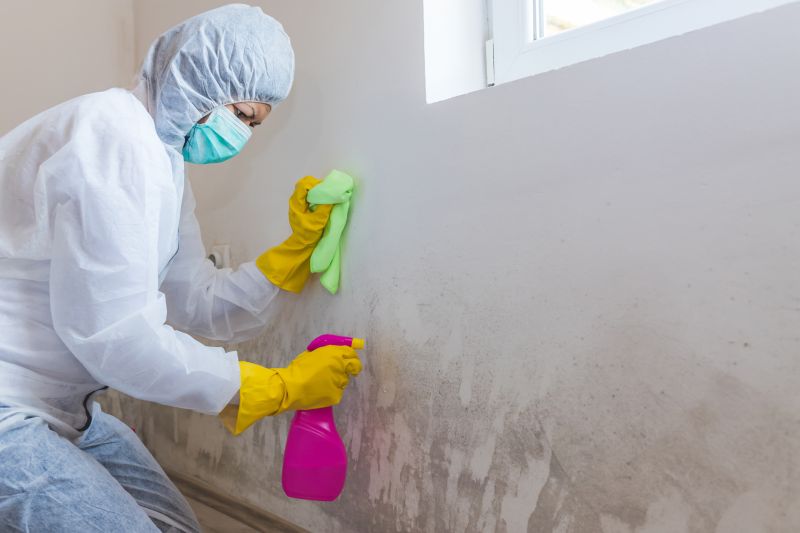 Basement Mold Remediation in West Palm Beach, FL