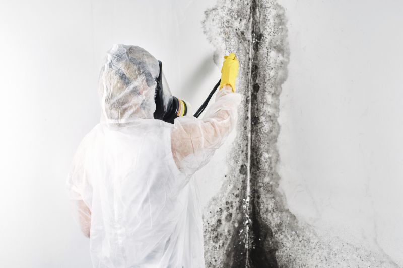 Basement Mold Remediation in Broward County, FL