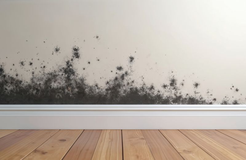 Basement Mold Removal in Jupiter, FL