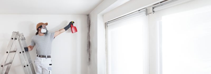 Basement Mold Removal in Boca Raton, FL