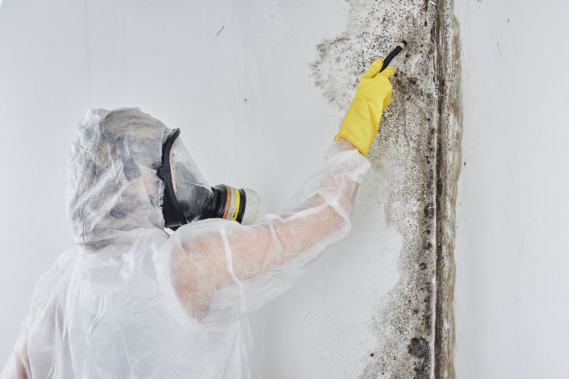 Black Mold Removal in Boca Raton, FL