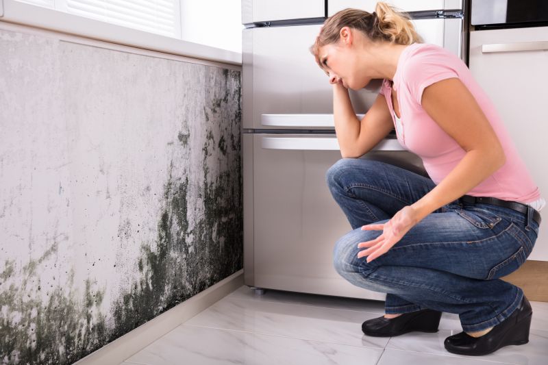 Black Mold Removal in Broward County, FL