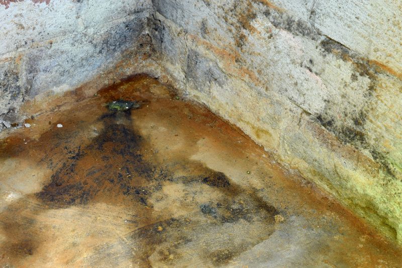 Crawlspace Mold Remediation in Fort Lauderdale, FL