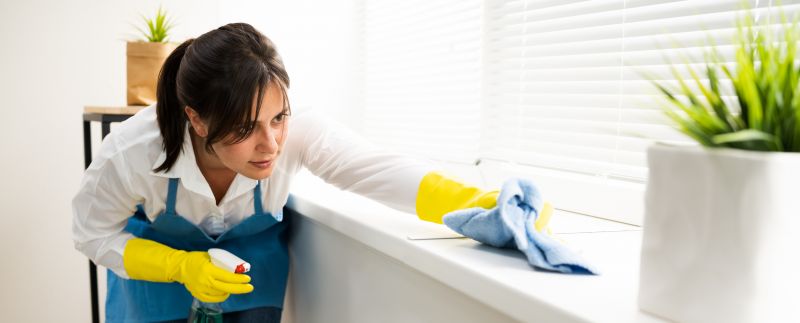 Customized Cleaning Plans For Busy Families