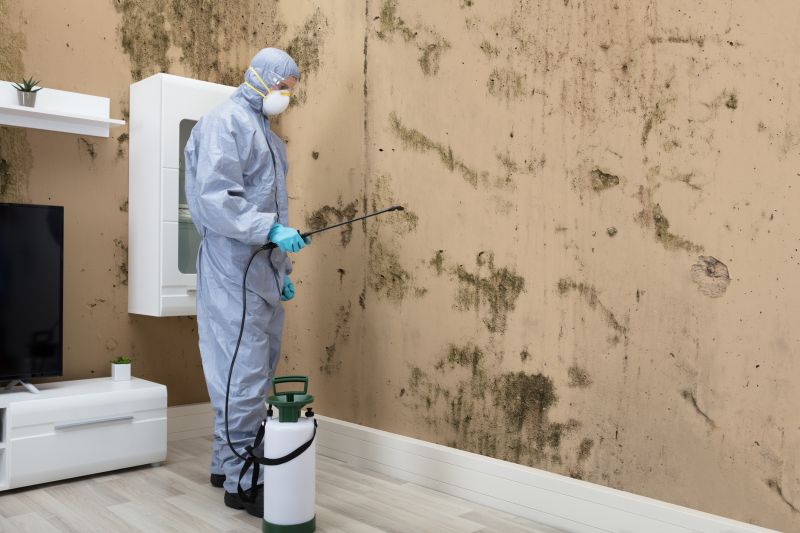 Mold Abatement in Jupiter, FL