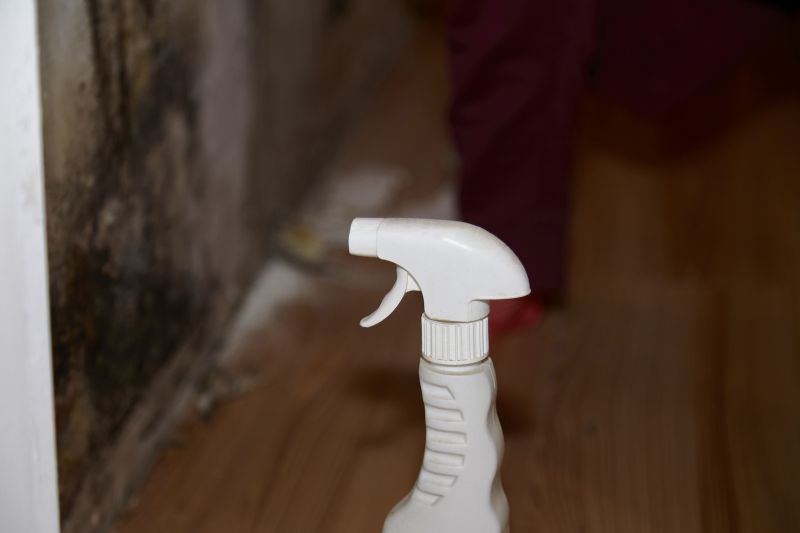Mold Cleanup Service in Essex County, NJ