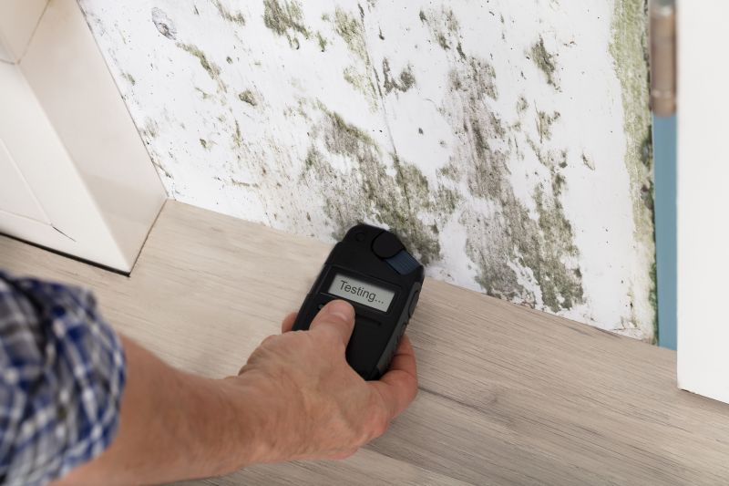 Mold Detection in Boca Raton, FL