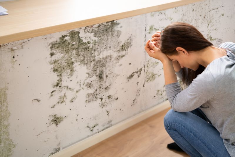 Mold Detection in Frisco, TX