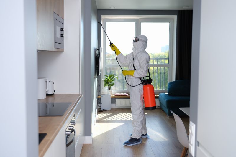 Mold Mitigation Service in Boca Raton, FL