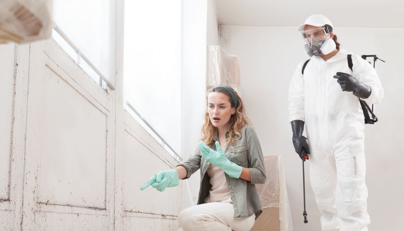 Mold Mitigation Service in Dallas, TX