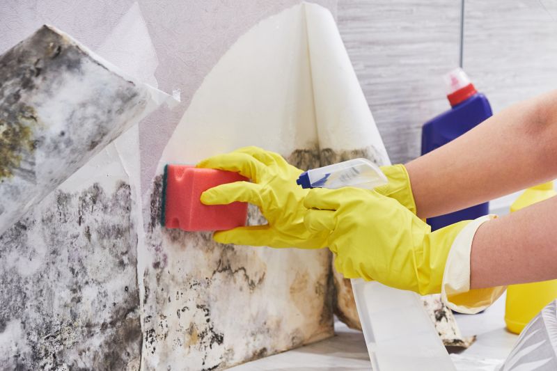 Mold Removal in Fort Lauderdale, FL