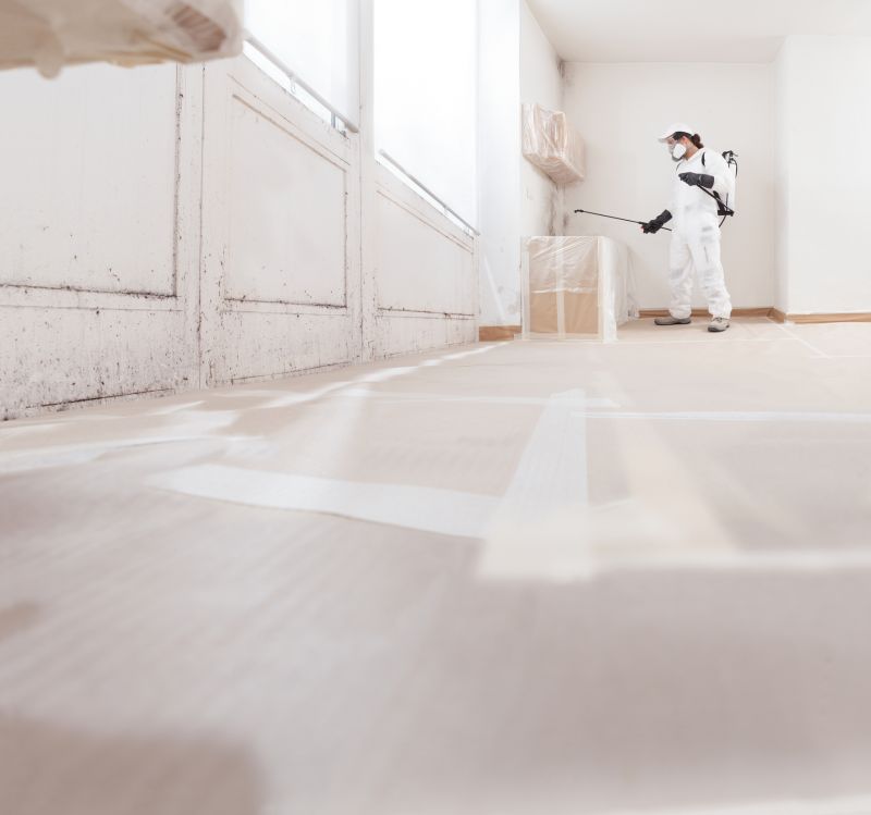 White Mold Mitigation in Broward County, FL