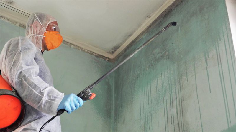 White Mold Mitigation in West Palm Beach, FL