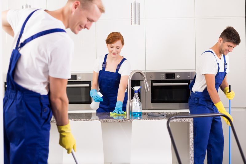 Professional Cleaning Companies