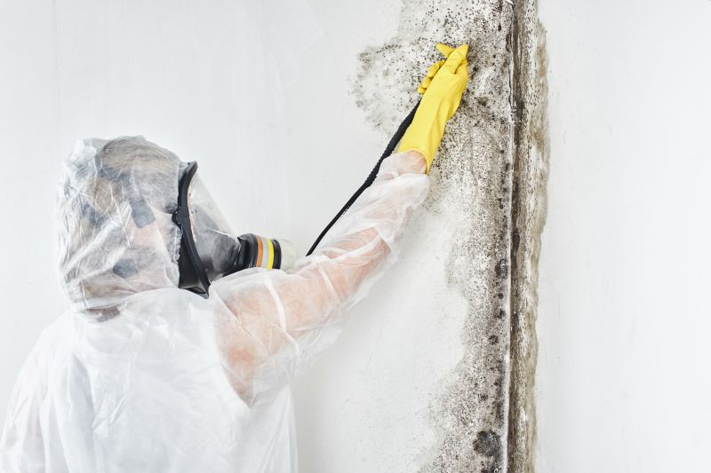 Black Mold Removal in Jupiter, FL