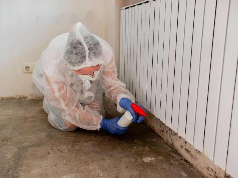 Crawl Space Mold Removal in Frisco, TX