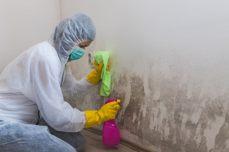 Crawl Space Mold Removal in Dallas, TX