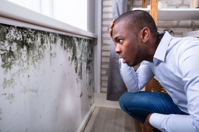 Mold Detection in Fort Worth, TX