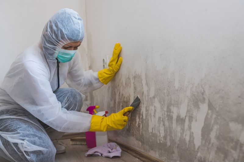Mold Remediation Service in Bergen County, NJ