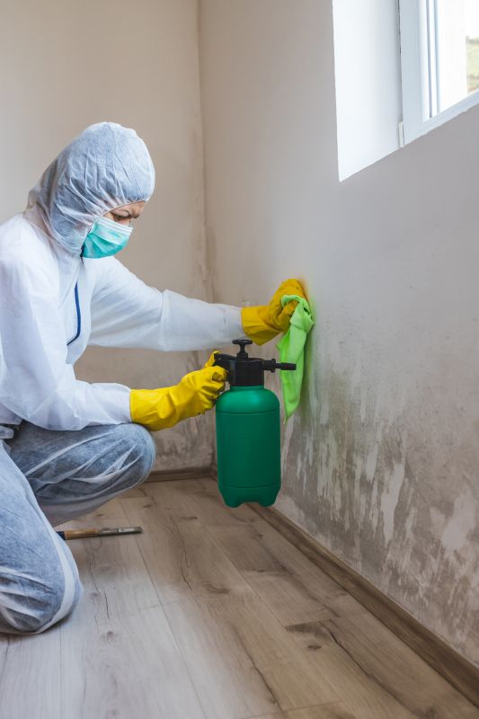 Mold Restoration in Dallas, TX